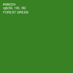 #388224 - Forest Green Color Image