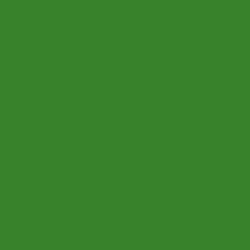 #38822C - Forest Green Color Image