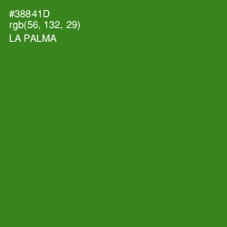 #38841D - La Palma Color Image