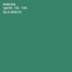 #38846A - Sea Green Color Image