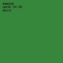 #38863B - Forest Green Color Image