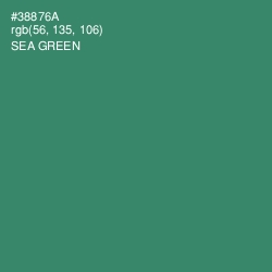 #38876A - Sea Green Color Image