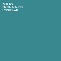 #388890 - Lochinvar Color Image