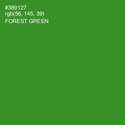 #389127 - Forest Green Color Image