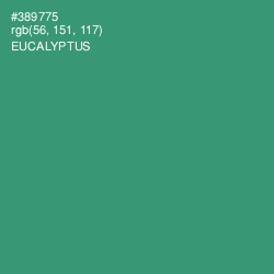 #389775 - Eucalyptus Color Image