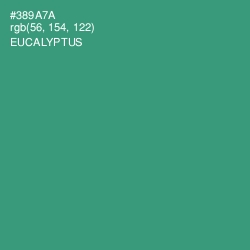 #389A7A - Eucalyptus Color Image