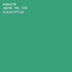 #38A07B - Eucalyptus Color Image