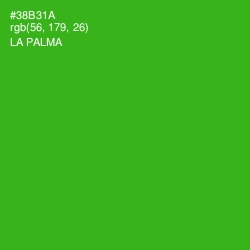 #38B31A - La Palma Color Image