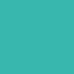 #38B7AE - Pelorous Color Image