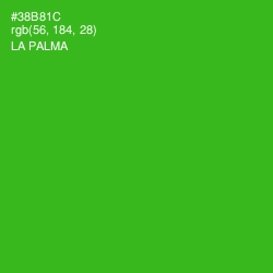 #38B81C - La Palma Color Image