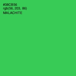 #38CB56 - Malachite Color Image