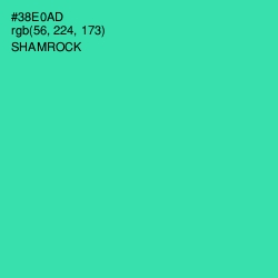 #38E0AD - Shamrock Color Image