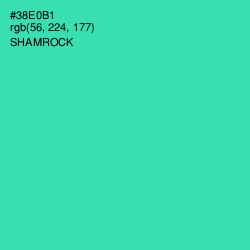 #38E0B1 - Shamrock Color Image