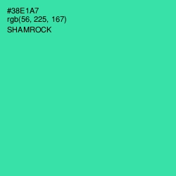 #38E1A7 - Shamrock Color Image