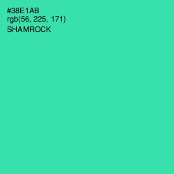 #38E1AB - Shamrock Color Image