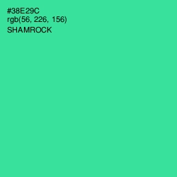 #38E29C - Shamrock Color Image