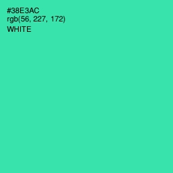 #38E3AC - Shamrock Color Image