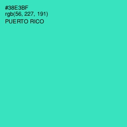 #38E3BF - Puerto Rico Color Image