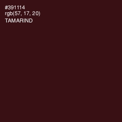 #391114 - Tamarind Color Image