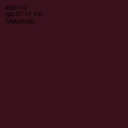 #39111D - Tamarind Color Image