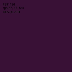 #391136 - Revolver Color Image