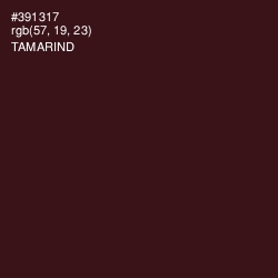 #391317 - Tamarind Color Image