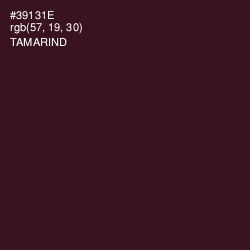 #39131E - Tamarind Color Image