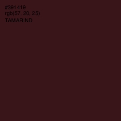 #391419 - Tamarind Color Image