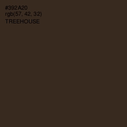 #392A20 - Treehouse Color Image