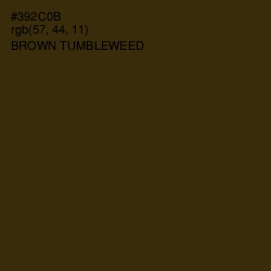 #392C0B - Brown Tumbleweed Color Image