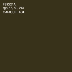 #39321A - Camouflage Color Image