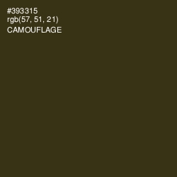 #393315 - Camouflage Color Image
