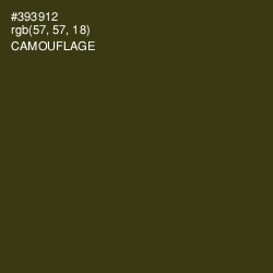 #393912 - Camouflage Color Image