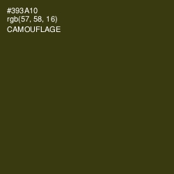 #393A10 - Camouflage Color Image