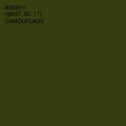 #393E11 - Camouflage Color Image