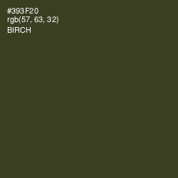 #393F20 - Birch Color Image