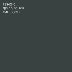 #394240 - Cape Cod Color Image