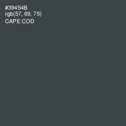 #39454B - Cape Cod Color Image