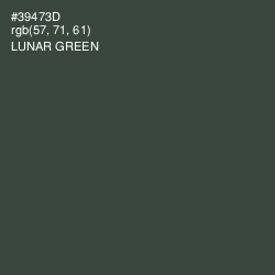 #39473D - Lunar Green Color Image