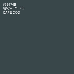 #39474B - Cape Cod Color Image