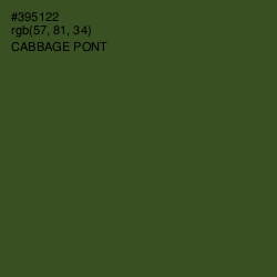 #395122 - Cabbage Pont Color Image