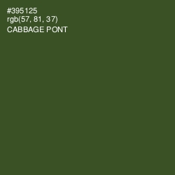 #395125 - Cabbage Pont Color Image