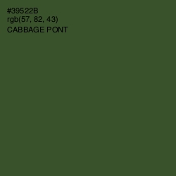 #39522B - Cabbage Pont Color Image