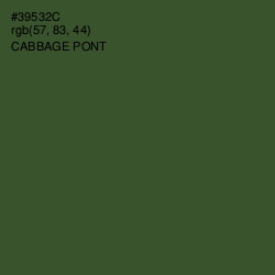 #39532C - Cabbage Pont Color Image