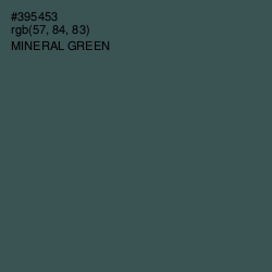 #395453 - Mineral Green Color Image