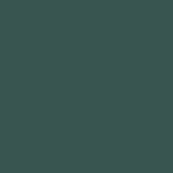 #395550 - Mineral Green Color Image