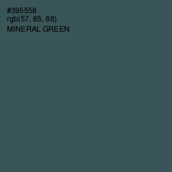 #395558 - Mineral Green Color Image