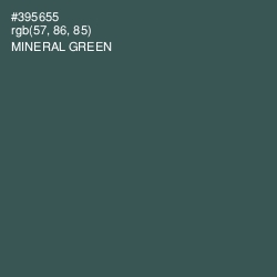 #395655 - Mineral Green Color Image