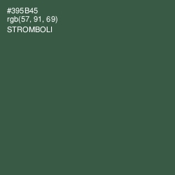 #395B45 - Stromboli Color Image