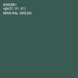 #395B51 - Mineral Green Color Image